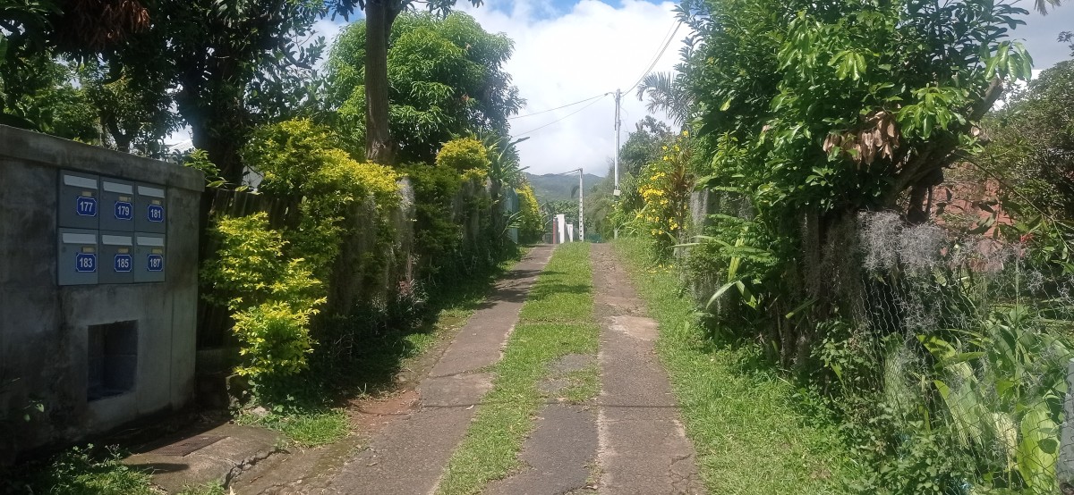 20250403_115318.jpg
