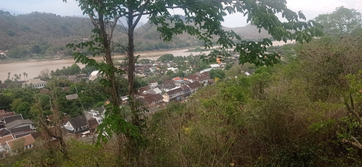 20250418_140624.jpg