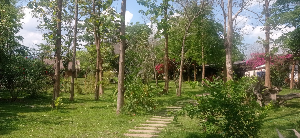 20250419_141941.jpg