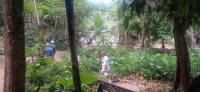 20250419_102354.jpg 20250419_102354.jpg