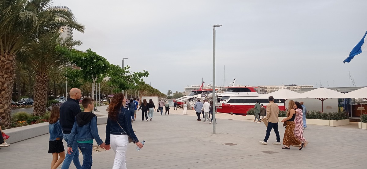 20250503_201904.jpg