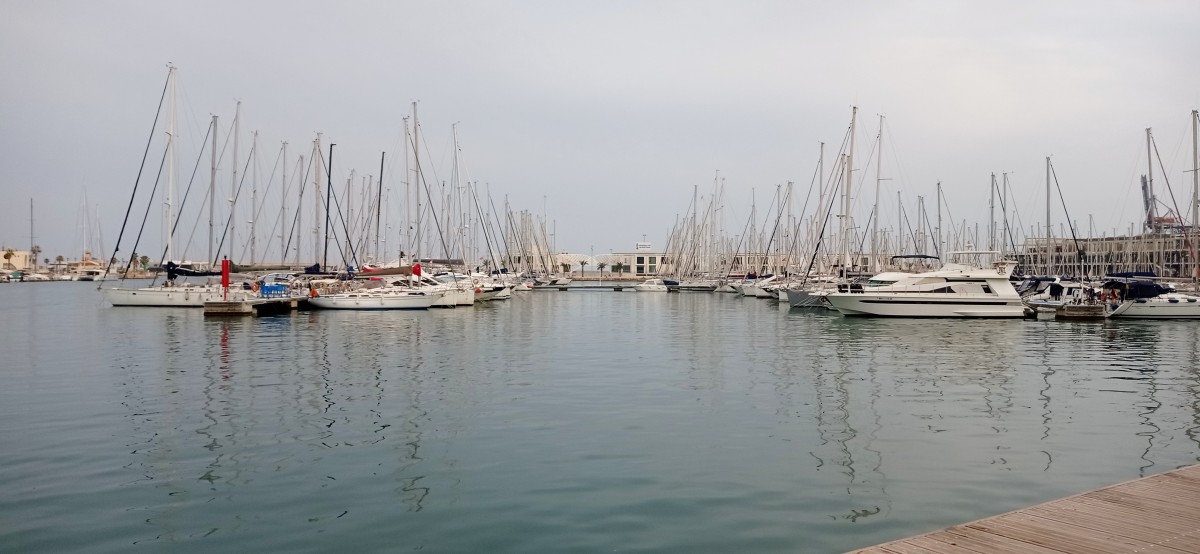 20250503_201935.jpg
