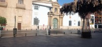 20250501_091726.jpg