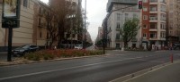 20250502_094315.jpg