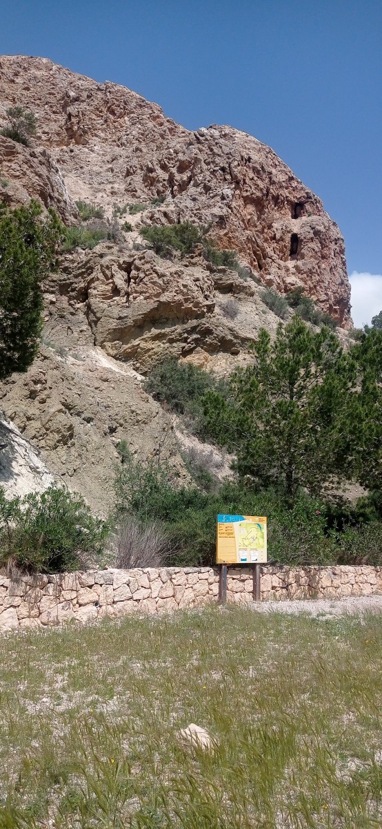 20250501_123430.jpg