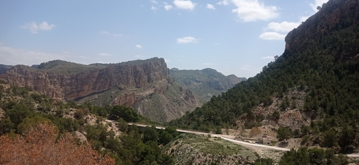 20250501_123609.jpg
