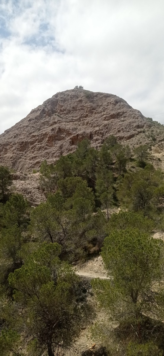 20250501_123935.jpg