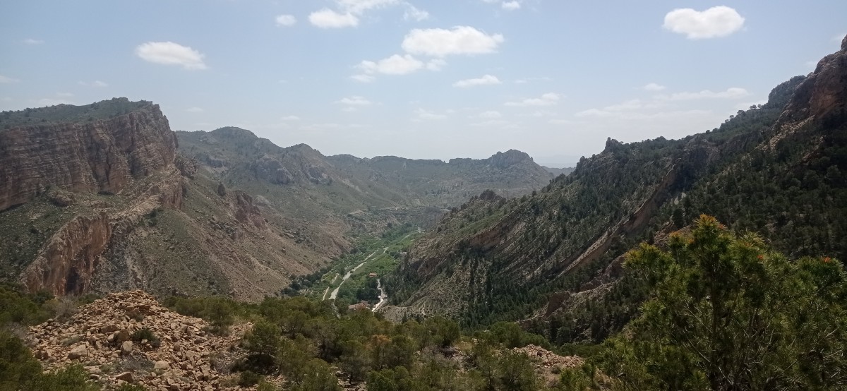20250501_124306.jpg
