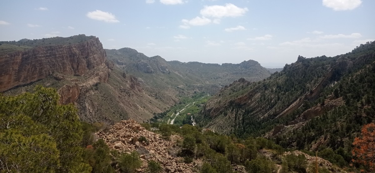 20250501_124325.jpg