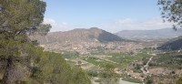 20250501_124753.jpg