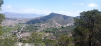 20250501_124804.jpg