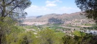 20250501_130311.jpg