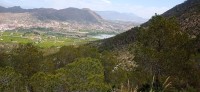 20250501_131805.jpg