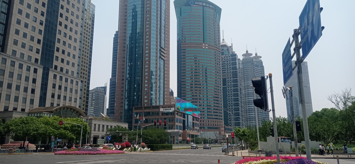 20250530_115716.jpg