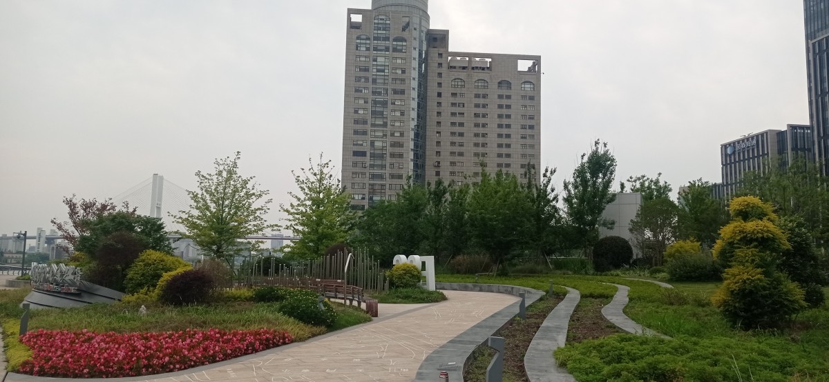 20250531_114914.jpg
