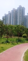 20250529_105935.jpg