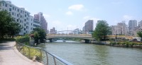 20250529_110932.jpg