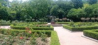 20250529_113714.jpg