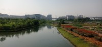 20250529_153417.jpg