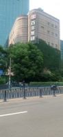 20250530_101545.jpg
