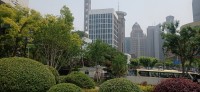 20250530_110639.jpg