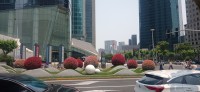 20250530_115624.jpg