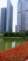 20250530_120109.jpg