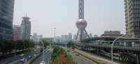 20250530_122938.jpg