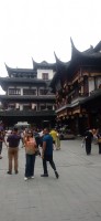 20250531_105948.jpg