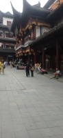 20250531_105952.jpg