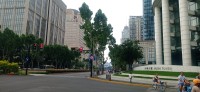 20250531_111802.jpg
