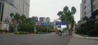 20250531_112039.jpg