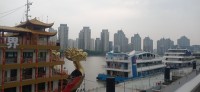 20250531_112317.jpg