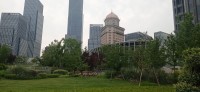 20250531_114929.jpg