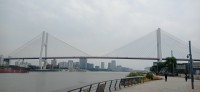 20250531_115730.jpg