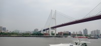 20250531_120252.jpg