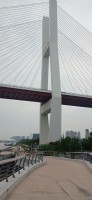 20250531_120316.jpg