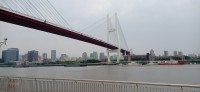 20250531_120721.jpg