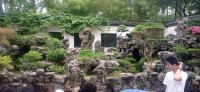 20250531_131703.jpg