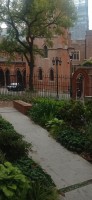 20250531_135321.jpg