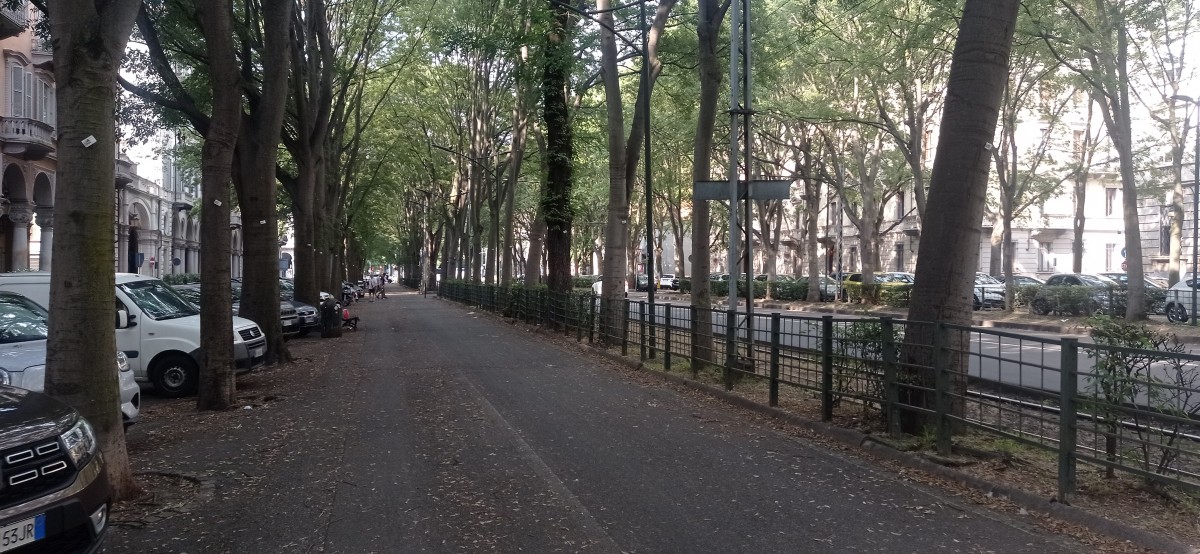 20250626_091920.jpg