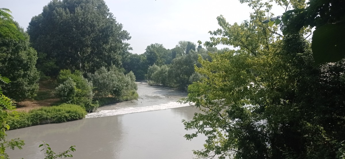 20250626_102319.jpg