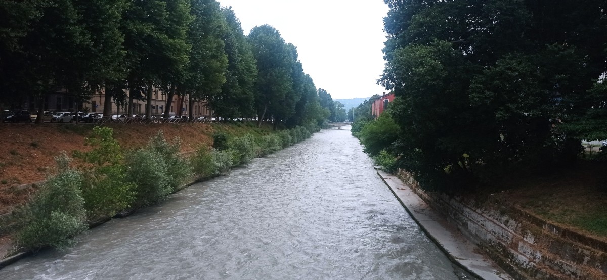 20250626_115514.jpg