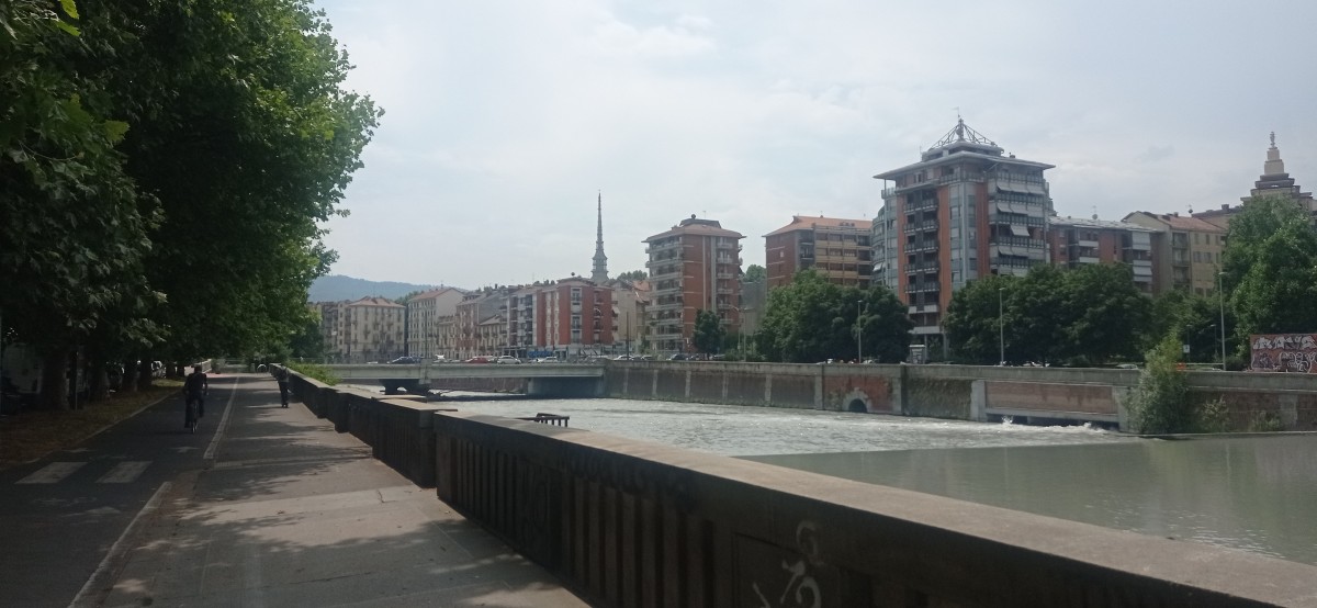 20250626_124609.jpg