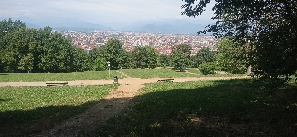 20250627_113505.jpg
