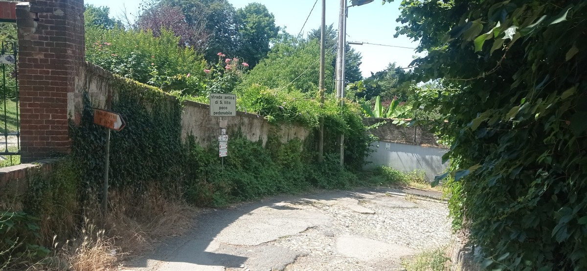 20250627_114519.jpg