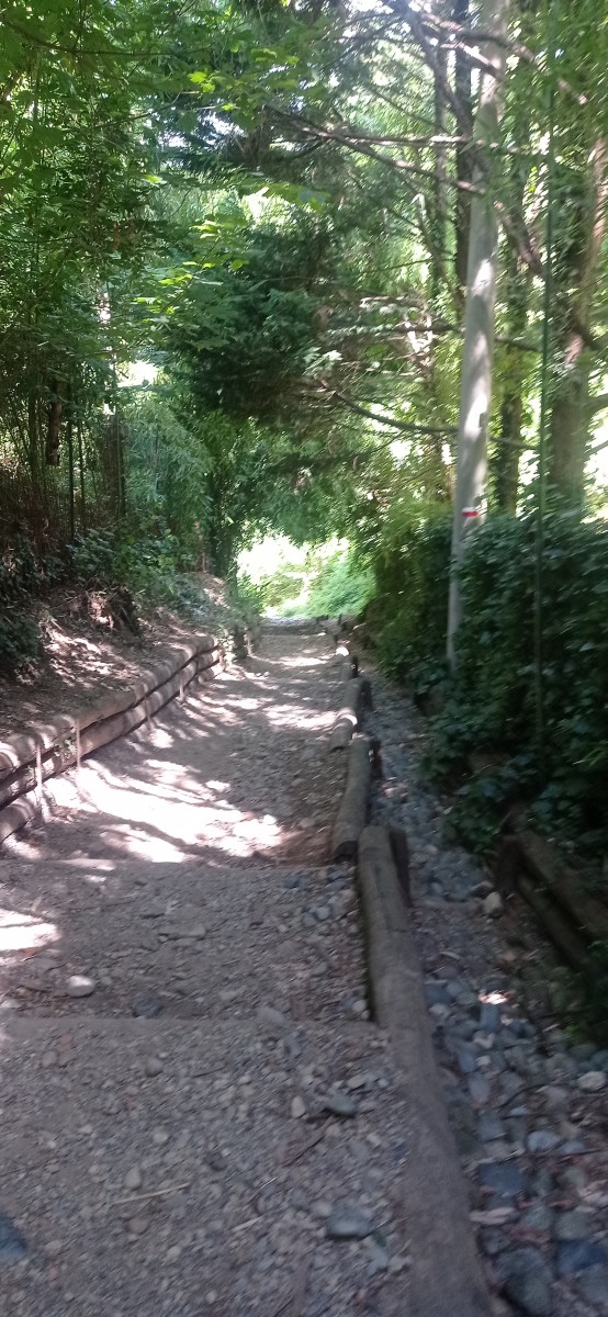20250627_114722.jpg
