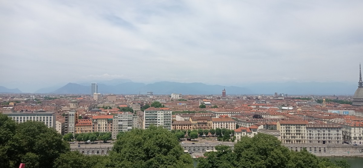 20250627_125456.jpg