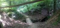 20250627_102104.jpg 20250627_102104.jpg