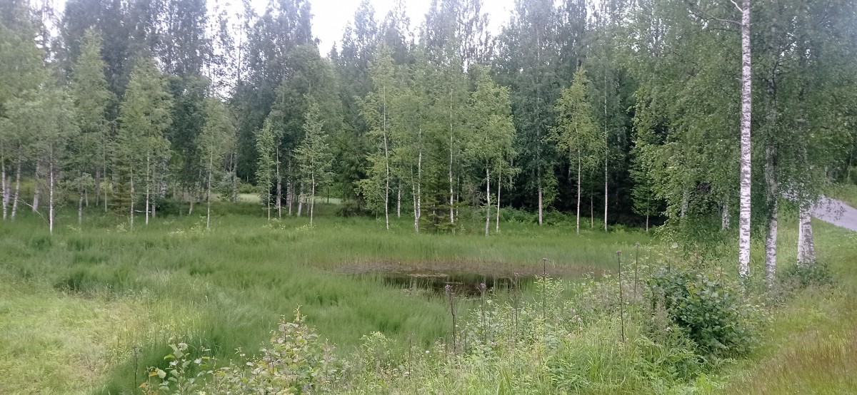 20250708_132420.jpg
